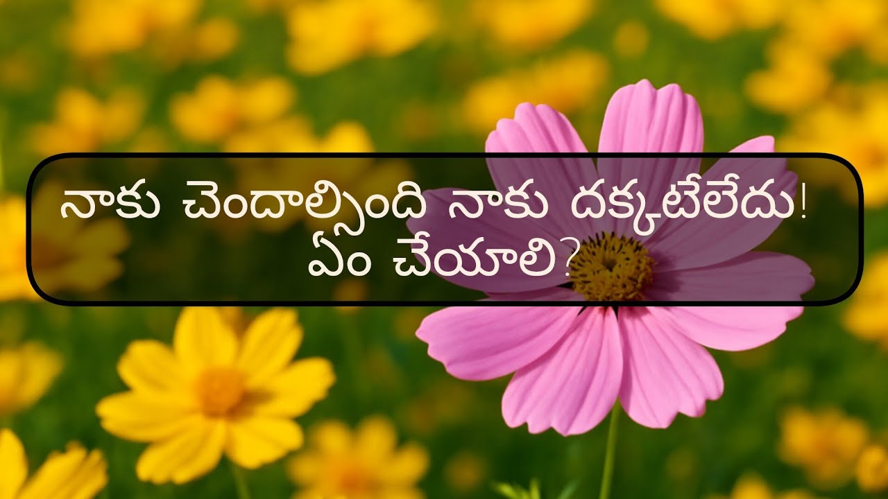 నాకు చెందాల్సింది నాకు దక్కటేలేదు! ఏం చేయాలి?