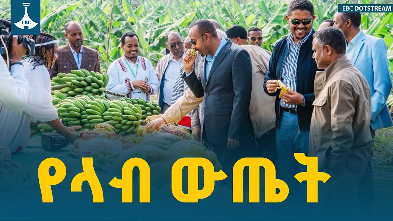ጠቅላይ ሚኒስትሩ  በቄለም ወለጋ ዞን  የሙዝ ልማት  ያደረጉት ጉብኝት  ETV | EBC | EBCDOTSTREAM