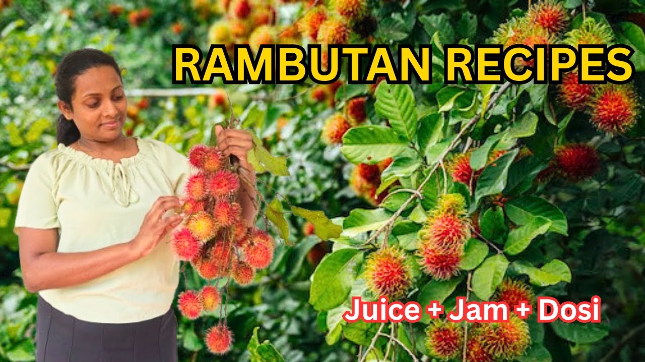 Fresh Rambutan Harvest + 3 Sweet & Simple Recipes
