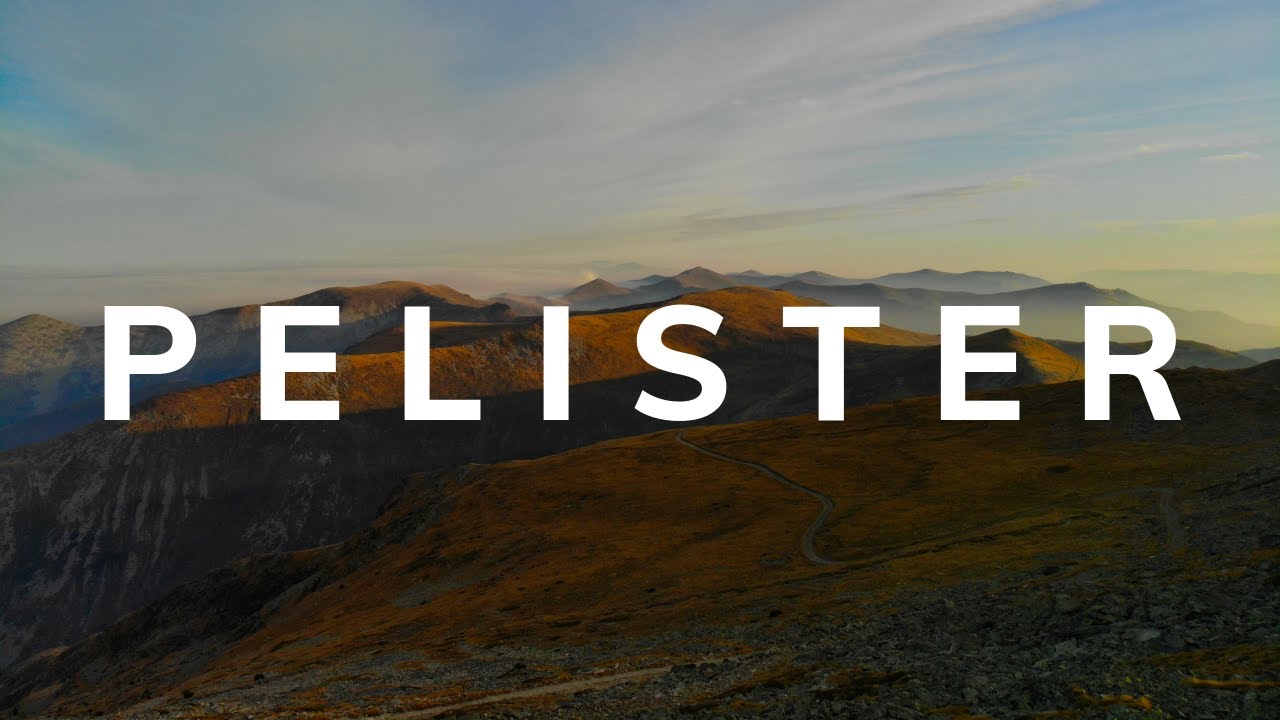 PELISTER