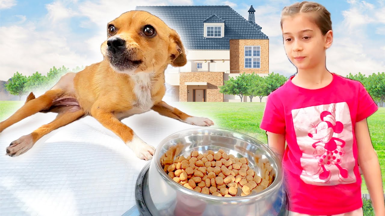 🐕 MIMI Vine ACASĂ  🏥 Ce Părere are Despre NOUA ei LOCUINȚĂ 😱