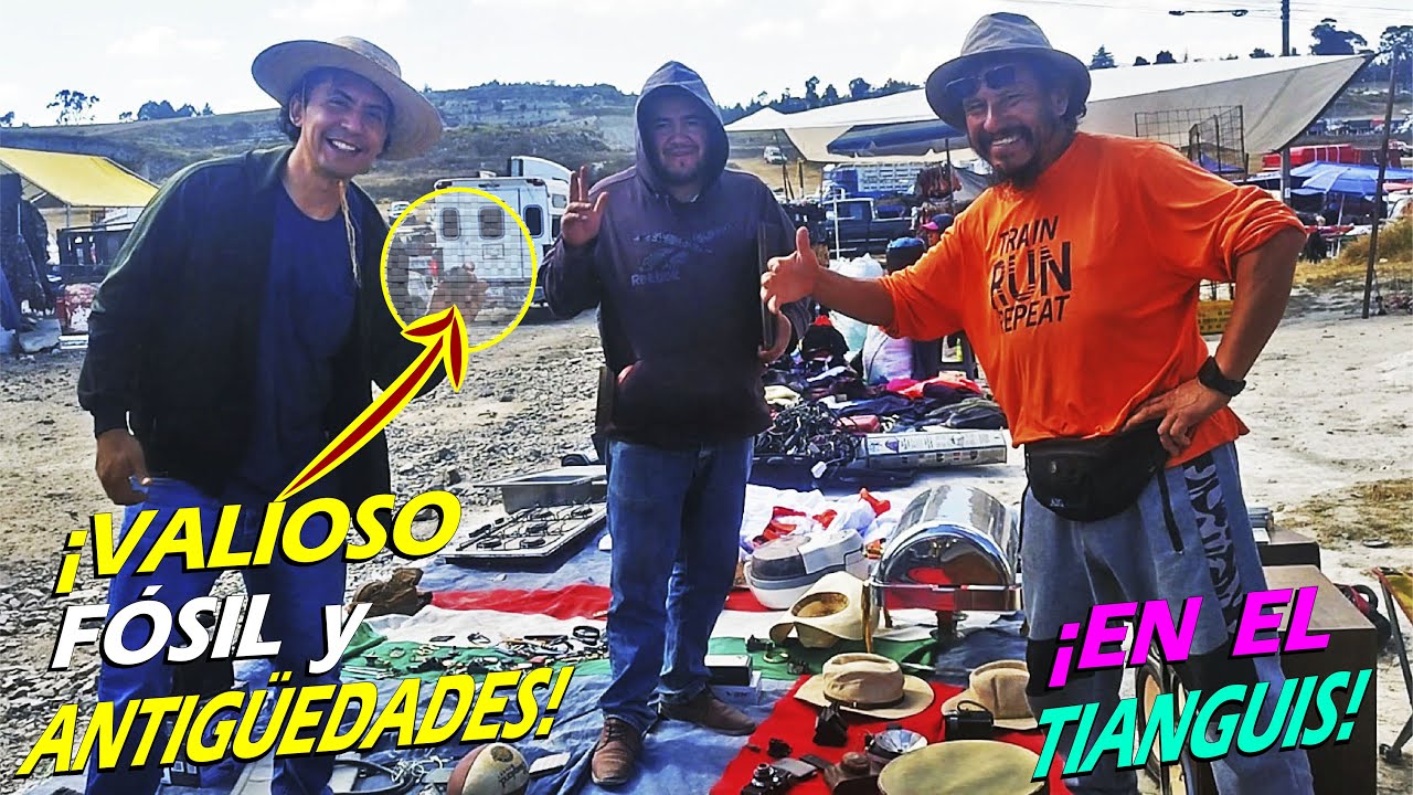 ¡Encuentro VALIOSO FÓSIL, 🦕 Juguetes y Antigüedades entre las Chácharas del Tianguis!
