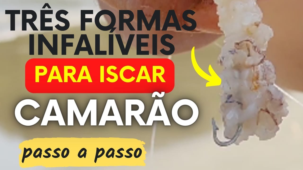[Passo a passo] Tr&ecirc;s formas infal&iacute;veis para iscar camar&atilde;o