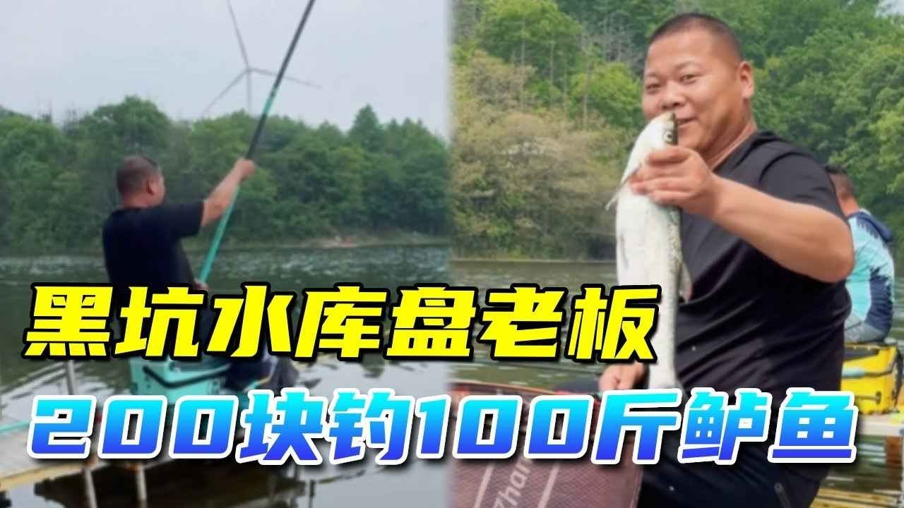 黑坑水库盘嚣张老板，200块钱钓100斤翘嘴，老板怕的直挠头！#钓鱼#盘老板#钓手#钓鱼技巧#钓鱼技巧 #钓鱼经验 #钓鱼视频