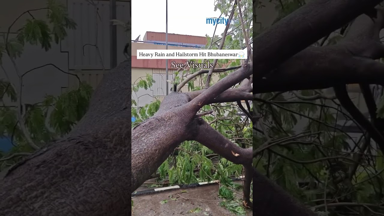 Heavy Rain and Hailstorm Hit Bhubaneswar | See Visuals