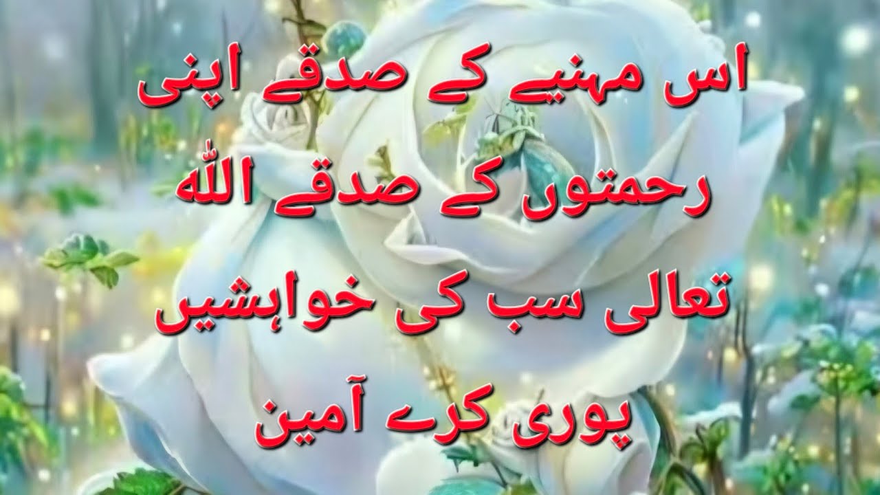 phuphi italy wali 🇮🇹 is live kay sath gupshup