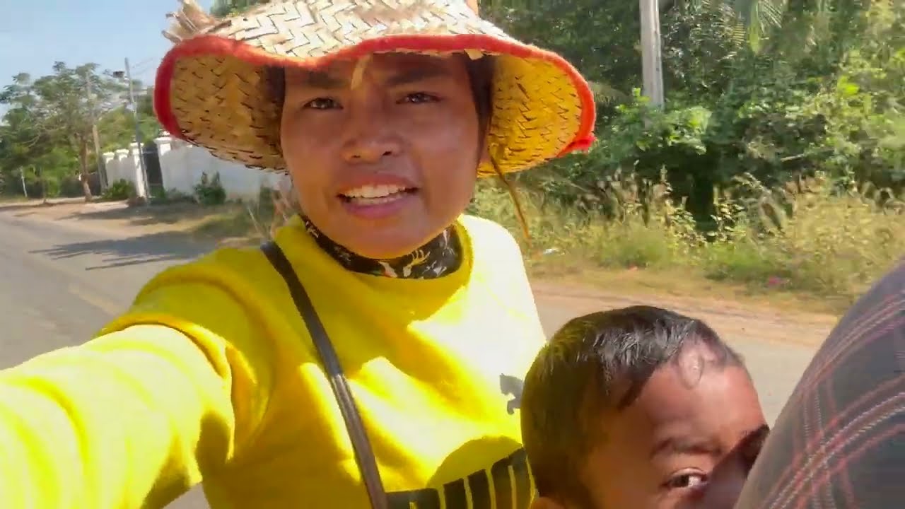 We are picking tropical fruits in the rice field