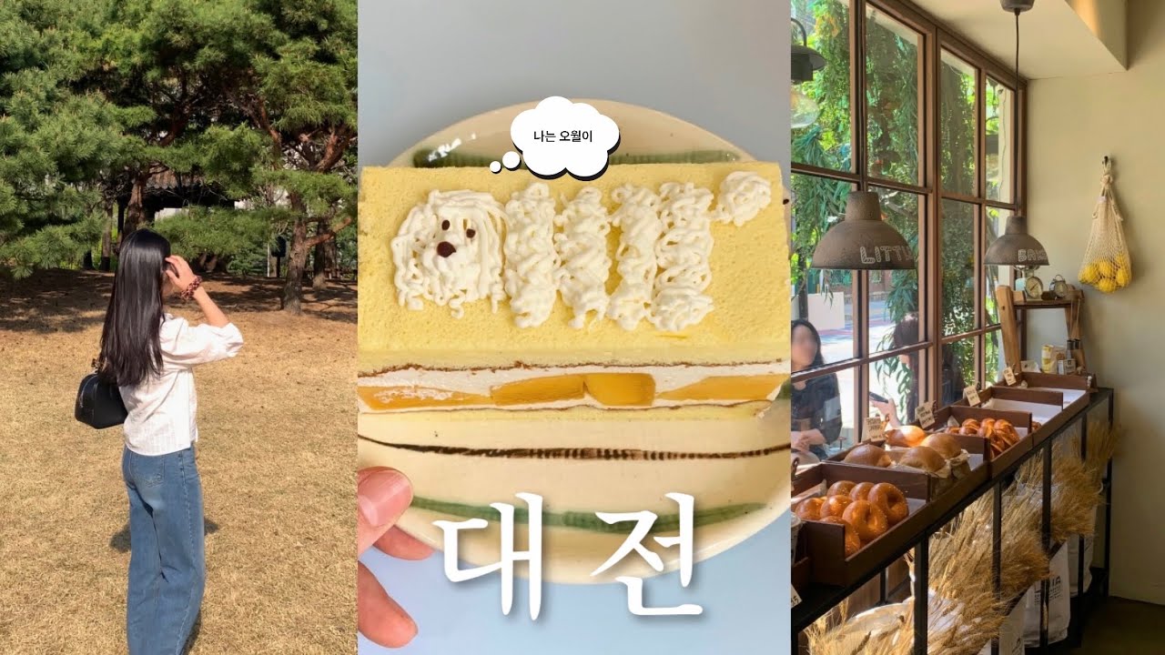 혼자라서 더 좋은 대전 1박2일 🥐 피크닉 • 전시 • 혼술 감성코스 🌳