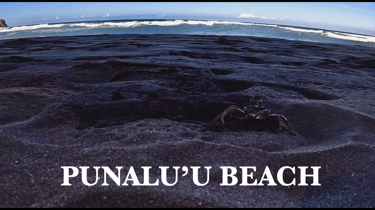 Hiking Down Punalu'u Beach | Big Island | Black Sand Beach | 4K