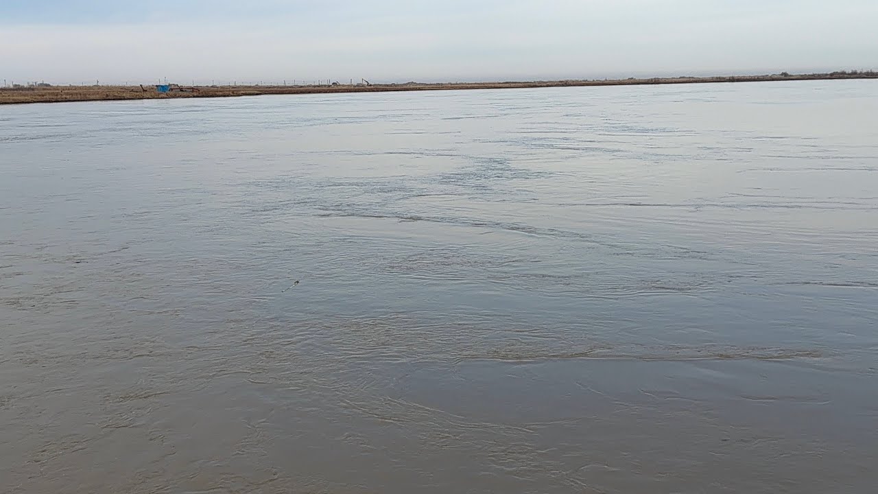АМУДАРЁГА СУВ КЕЛДИ МАНА ЯНГИЛИК ТЕЗ КУРИНГ 06.03.2026