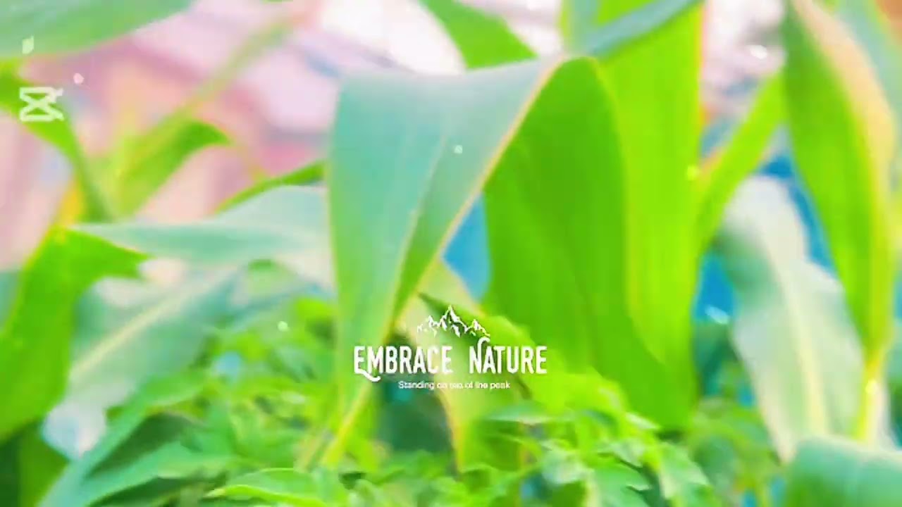 .	I Turned My Roof Into a Jungle 🌿 | Rooftop Garden That Feels Unreal#@Theshoukatfamilyvlog#viral 