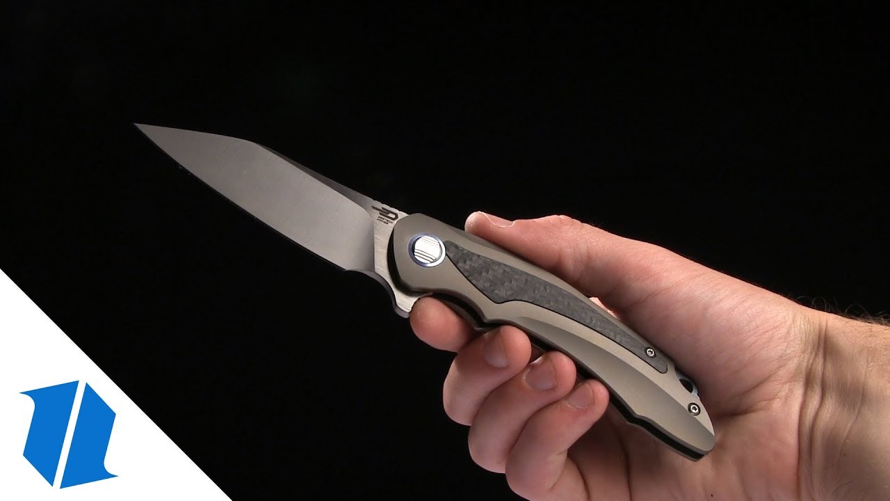 Bestech Pterodactyl Folding Knife Overview