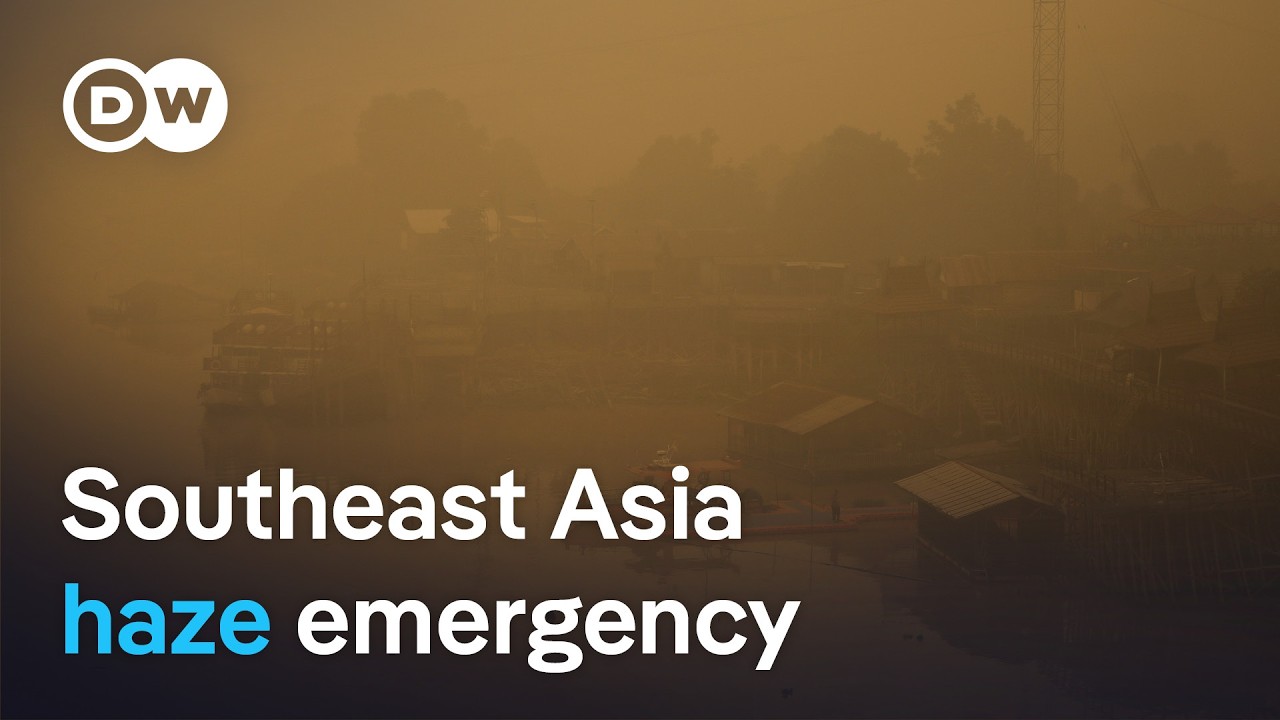 Why Indonesia's forest fires are so bad this year | DW News