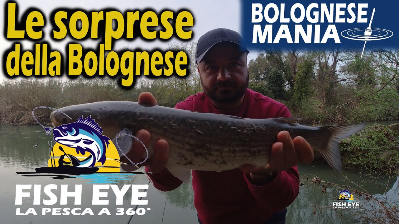 Pesca a bolognese - Le sorprese del fiume