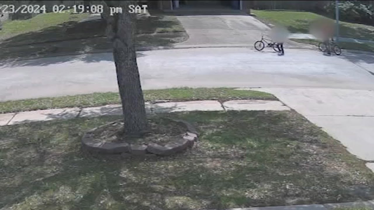 2 children accused of stabbing woman in her garage in custody, 12-year-year-old charged: HCSO
