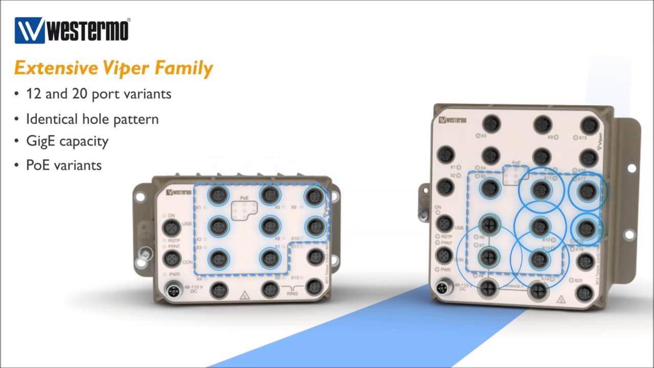 Viper - More ports, less cabling and greater capacity