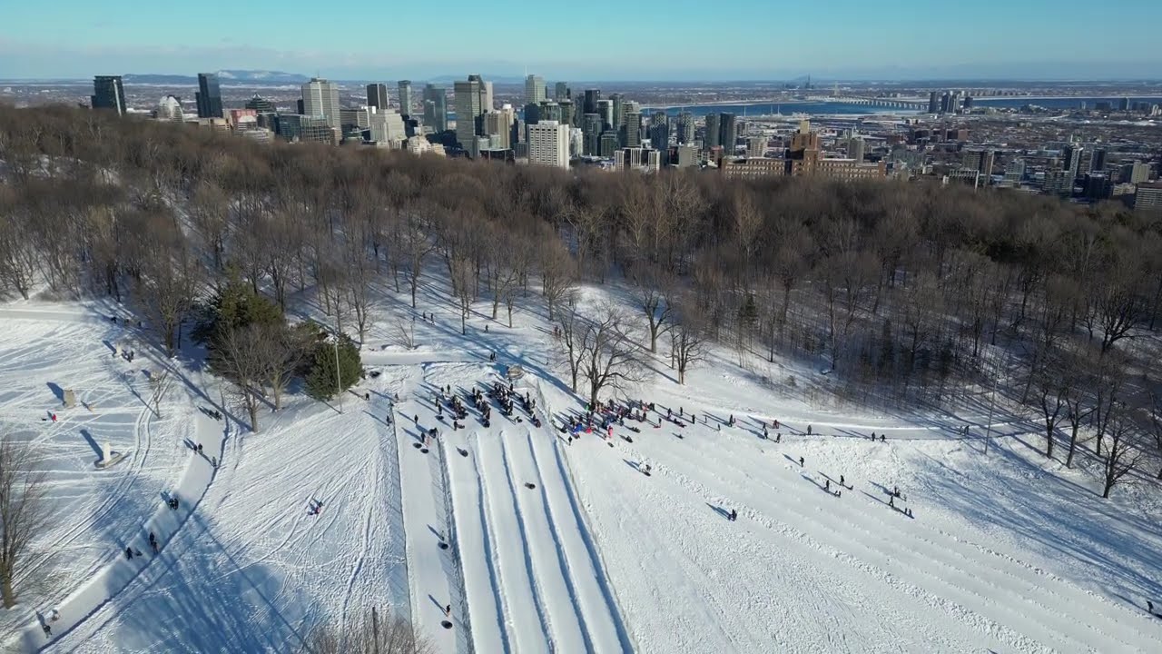 Réalisez le 14/02/2025 au mont royal 