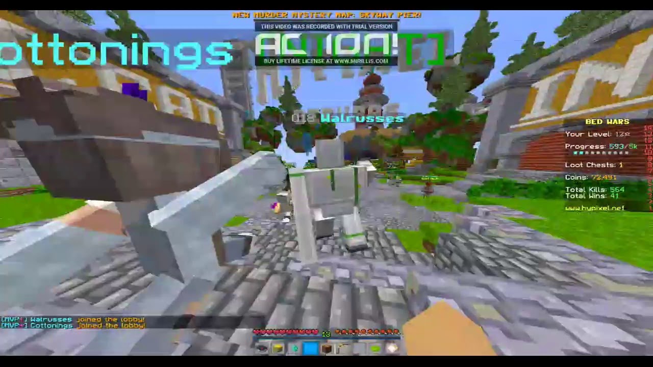 streaminam hypixeli {minigame}