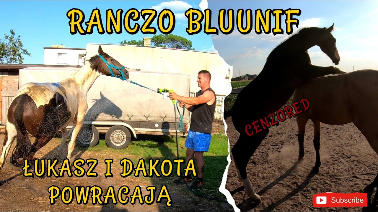 DAKOTA VS WODA ! / DENVER POKRYŁ ELCIE ???