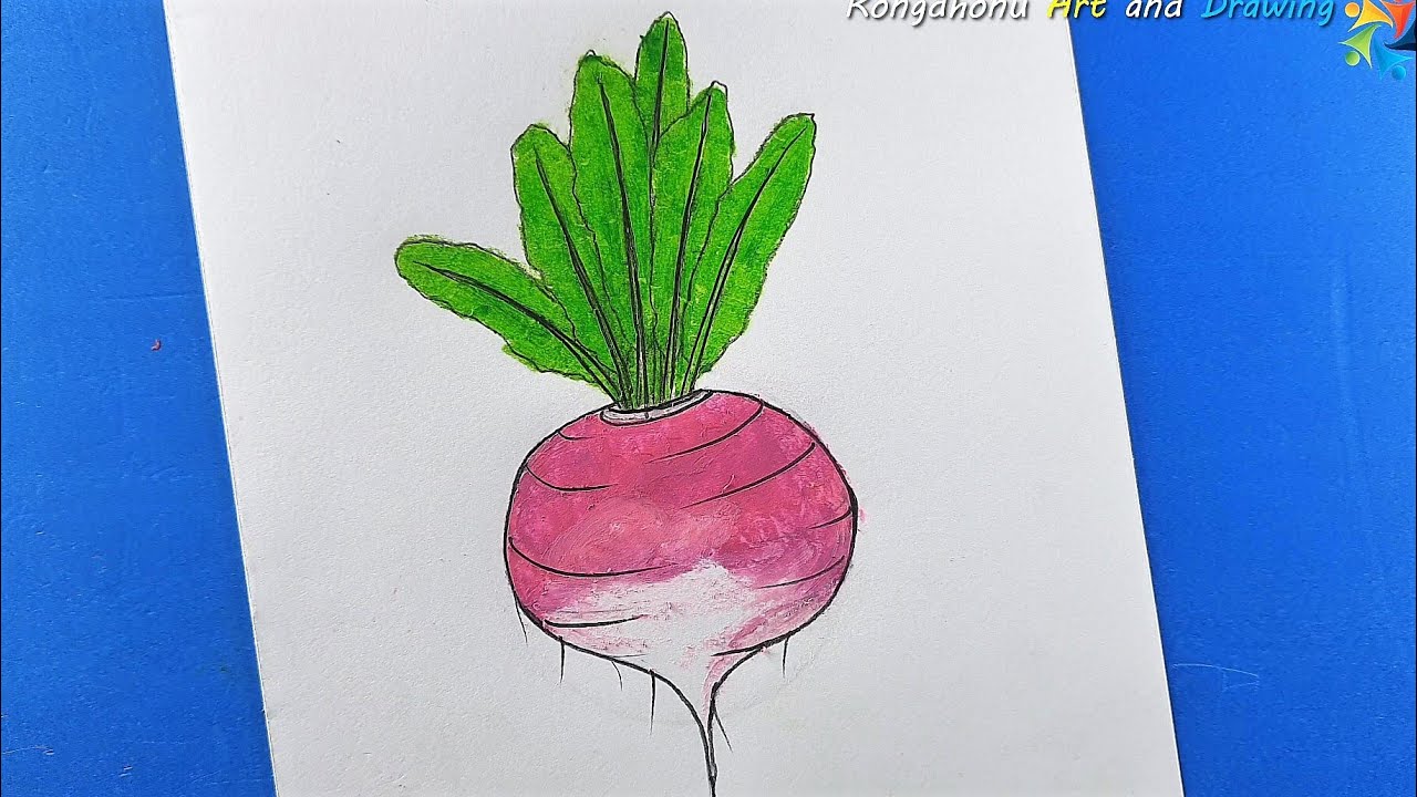 How to Draw Turnip | Vegetable Drawing | শালগম ড্রয়িং Easy