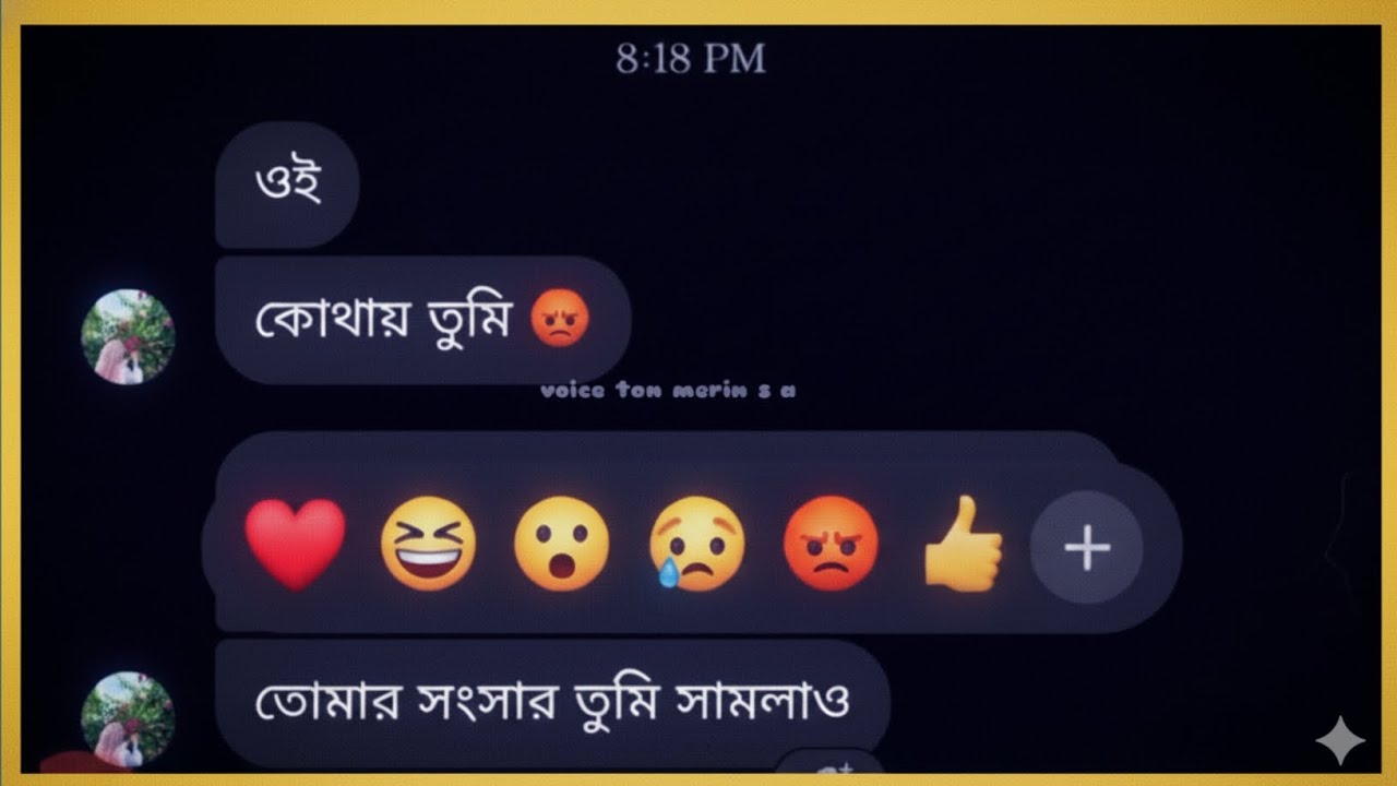 বউ যখন রেগে যায়! তোমার সংসার তুমি সামলাও। massenger funny video. Voice ton merin s a 