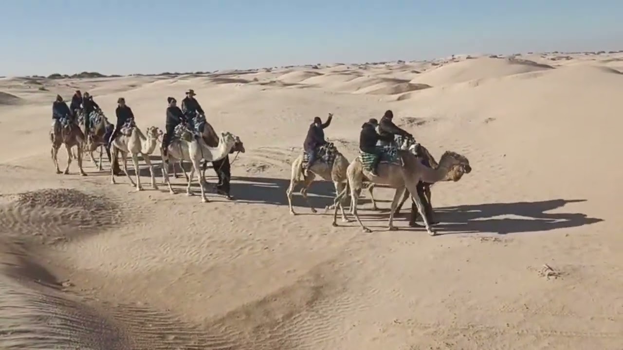 2026 Tunisia
