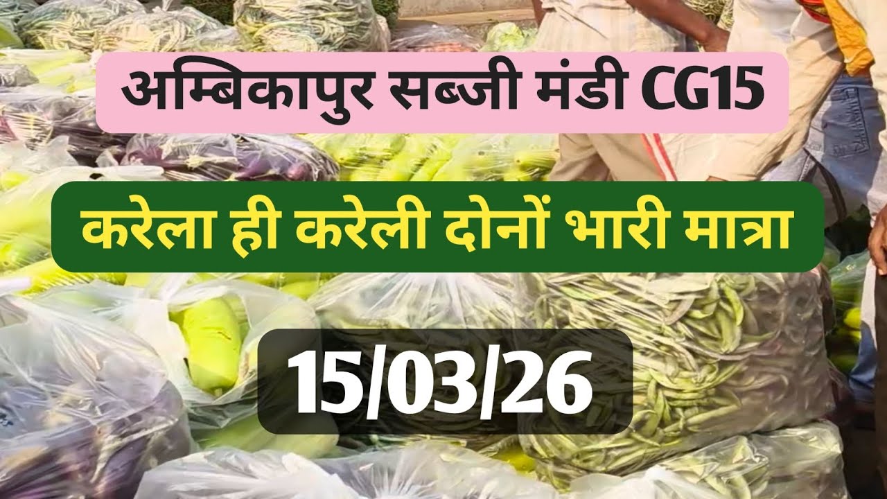 अम्बिकापुर सब्जी मंडी आज का ताजा रेट 15/03/26 Ambikapur Karela Tomato Boom