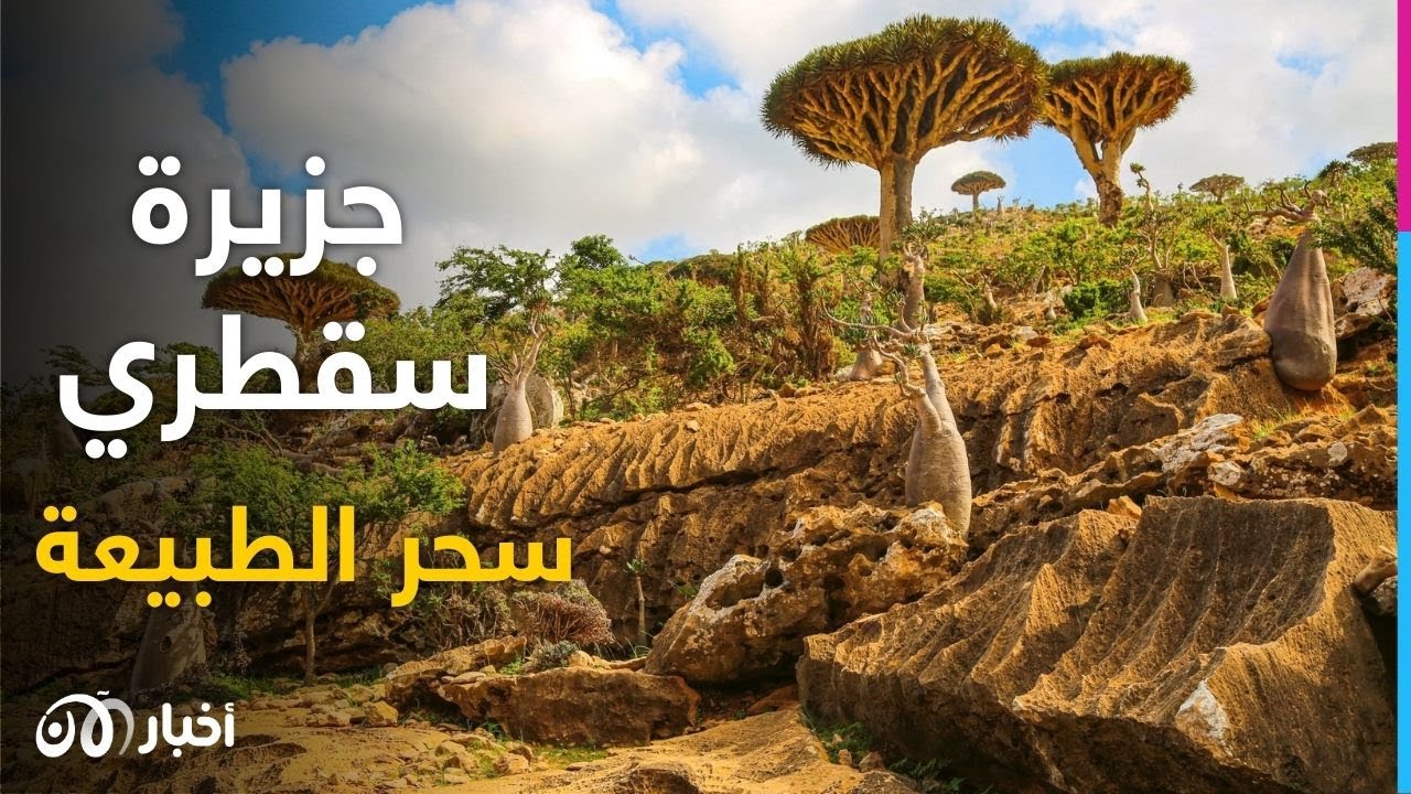 رحلة إلى جزيرة سقطرى الساحرة
