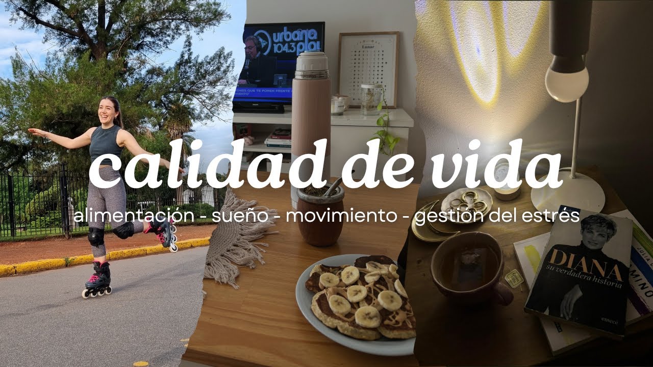 Los 4 pilares CLAVES para mejorar tu CALIDAD DE VIDA