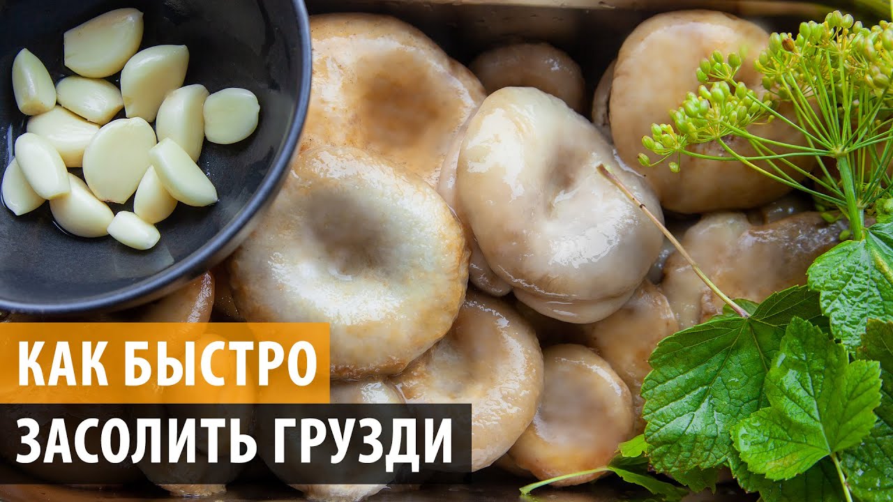КАК СОЛИТЬ ГРУЗДИ БЫСТРО И ВКУСНО! Грузди соленые - простой и проверенный рецепт