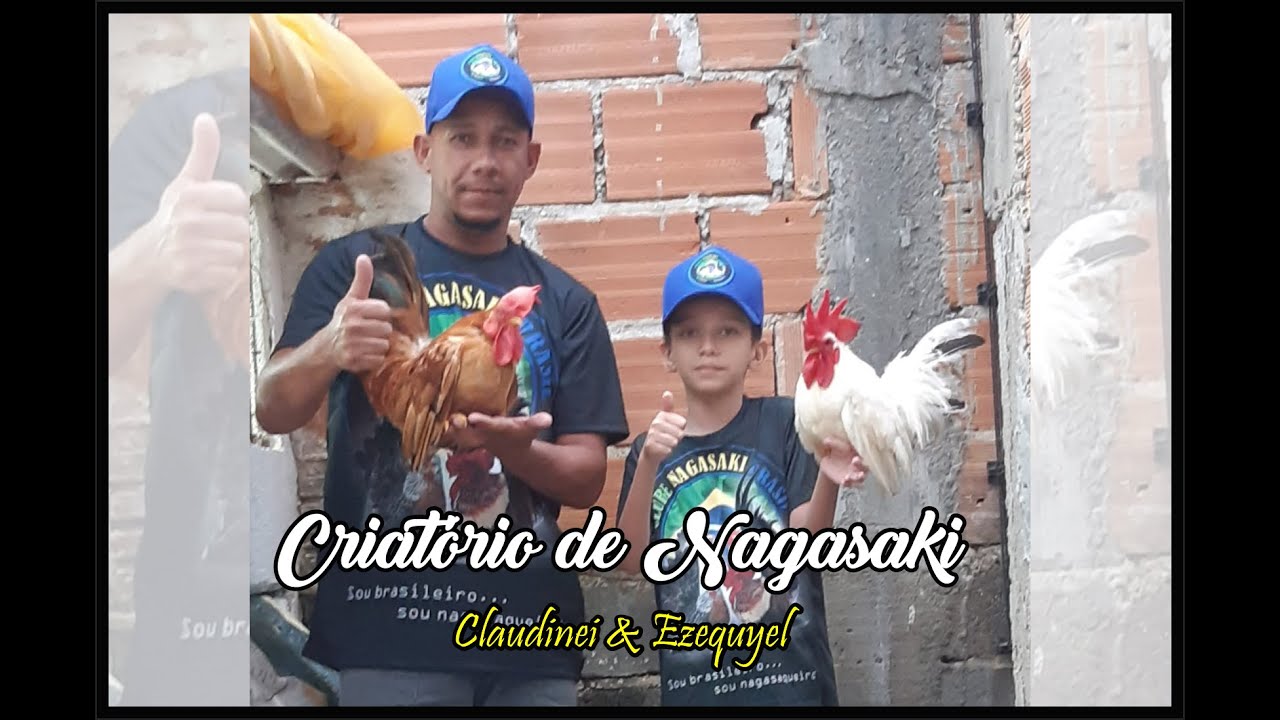 Criatório de Garnizé Nagasaki do Claudinei de 3 Corações - MG