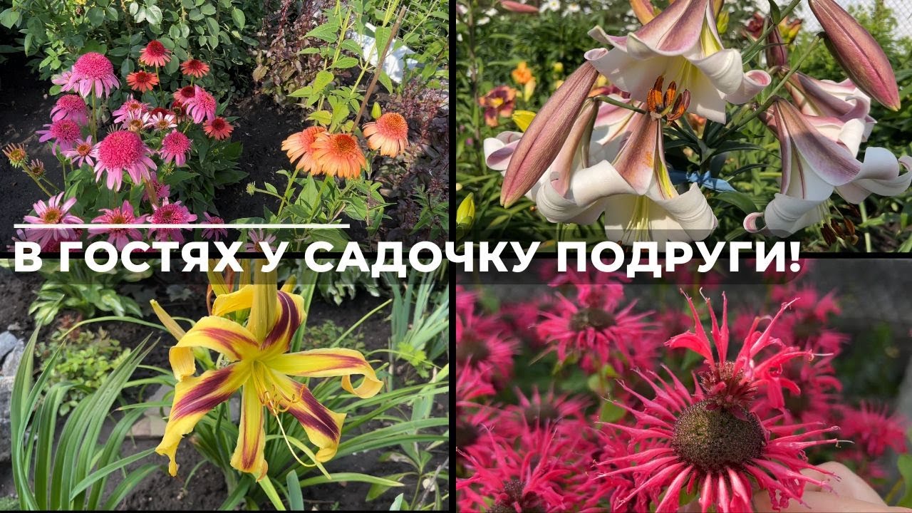 В гостях у садочку подруги!