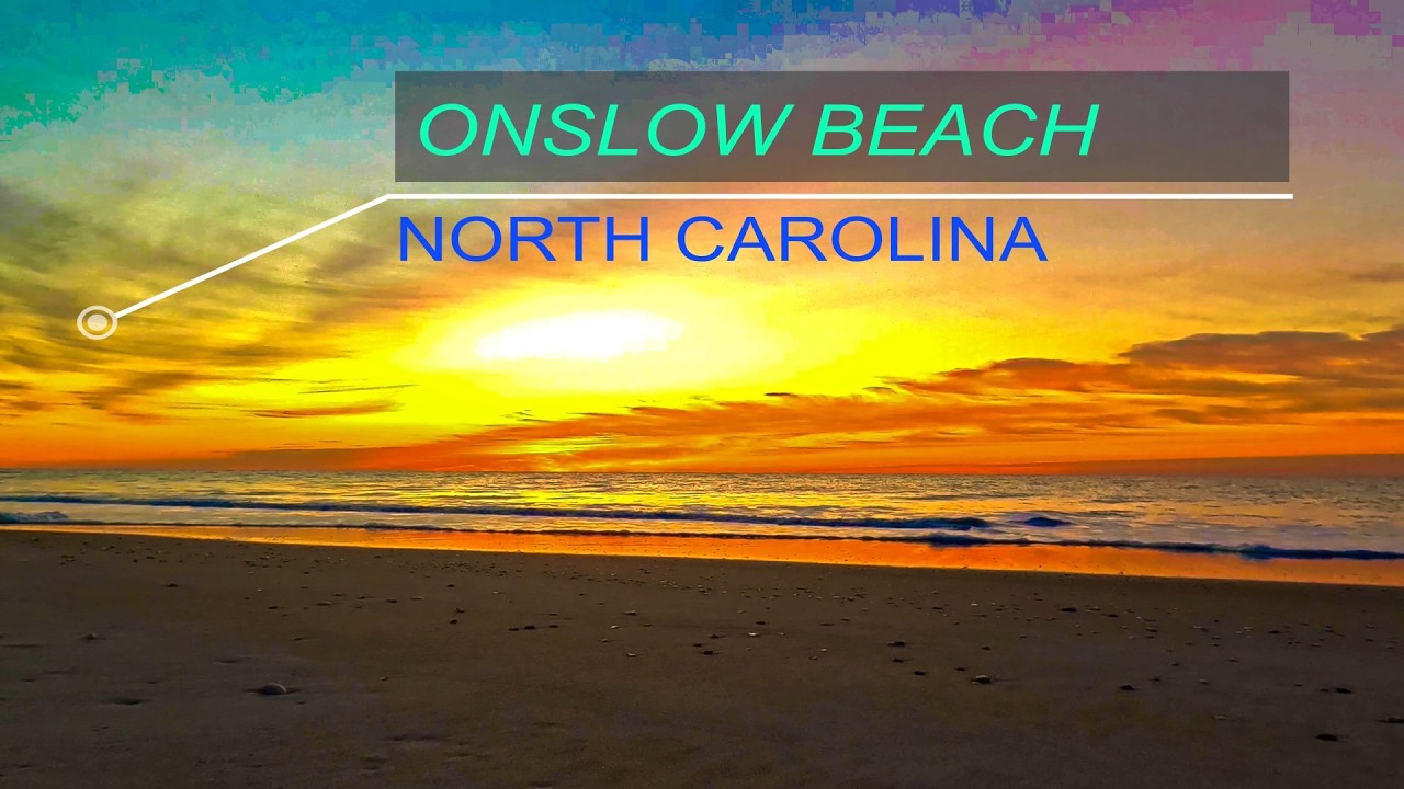 AMBER WAVES & SUNRISE SOUNDS 🌊 🕊 🐳 🐠 4K