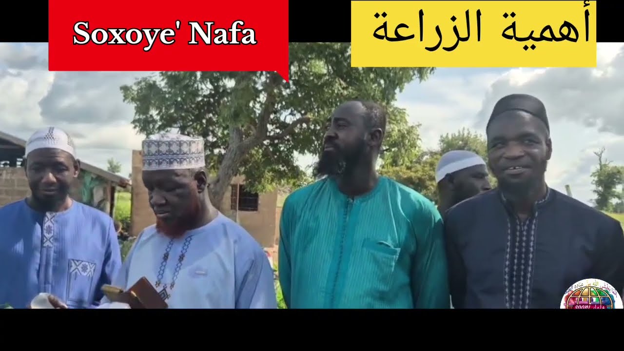 الحل الأمثل للهجرة غير شرعية (Soxoye) 