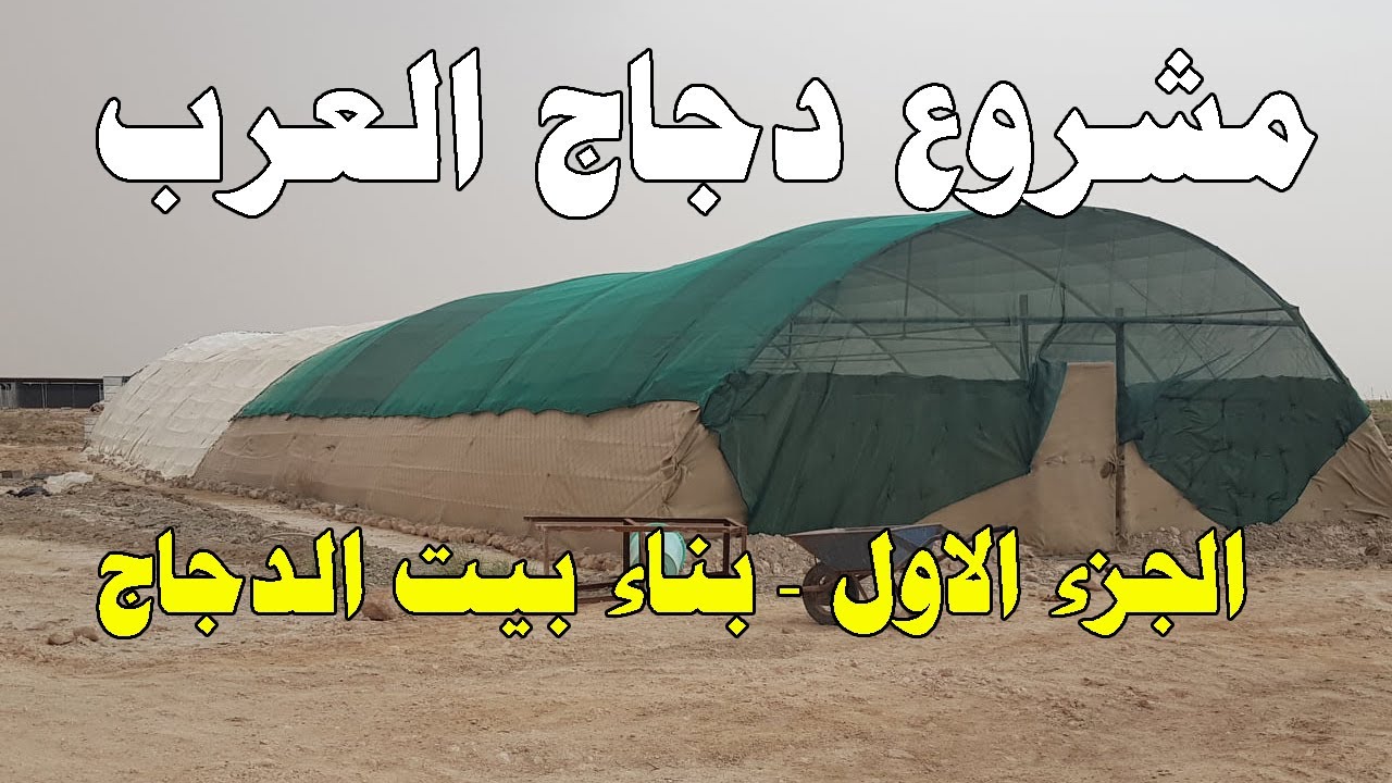مشروع تربية دجاج العرب (الجزء الأول) بناء بيت الدجاج