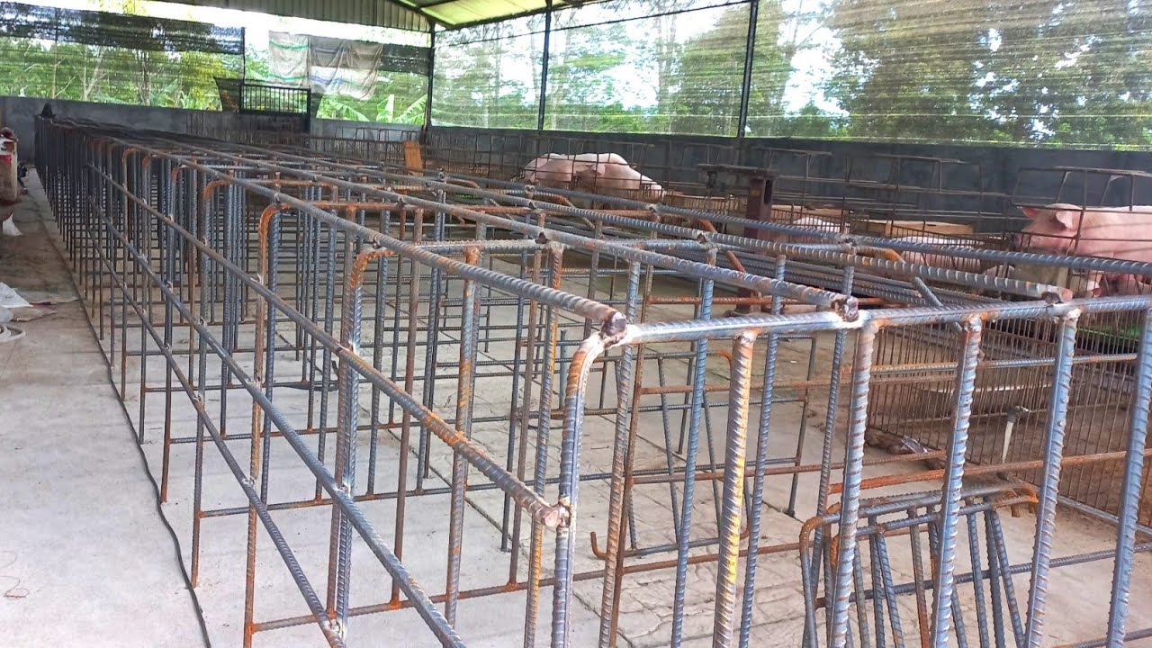kandang baterai dari besi||pemasangan kandang besi