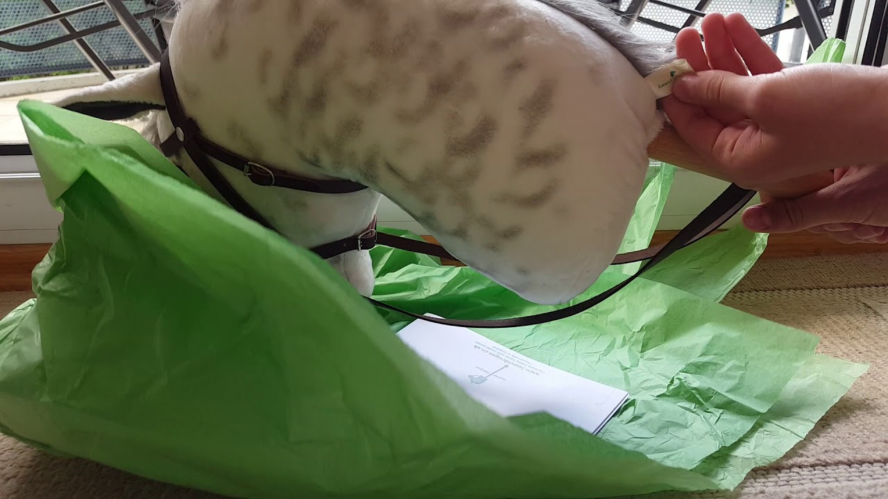 ❤Unboxing my new Hobbyhorse from Adorable Ponies❤