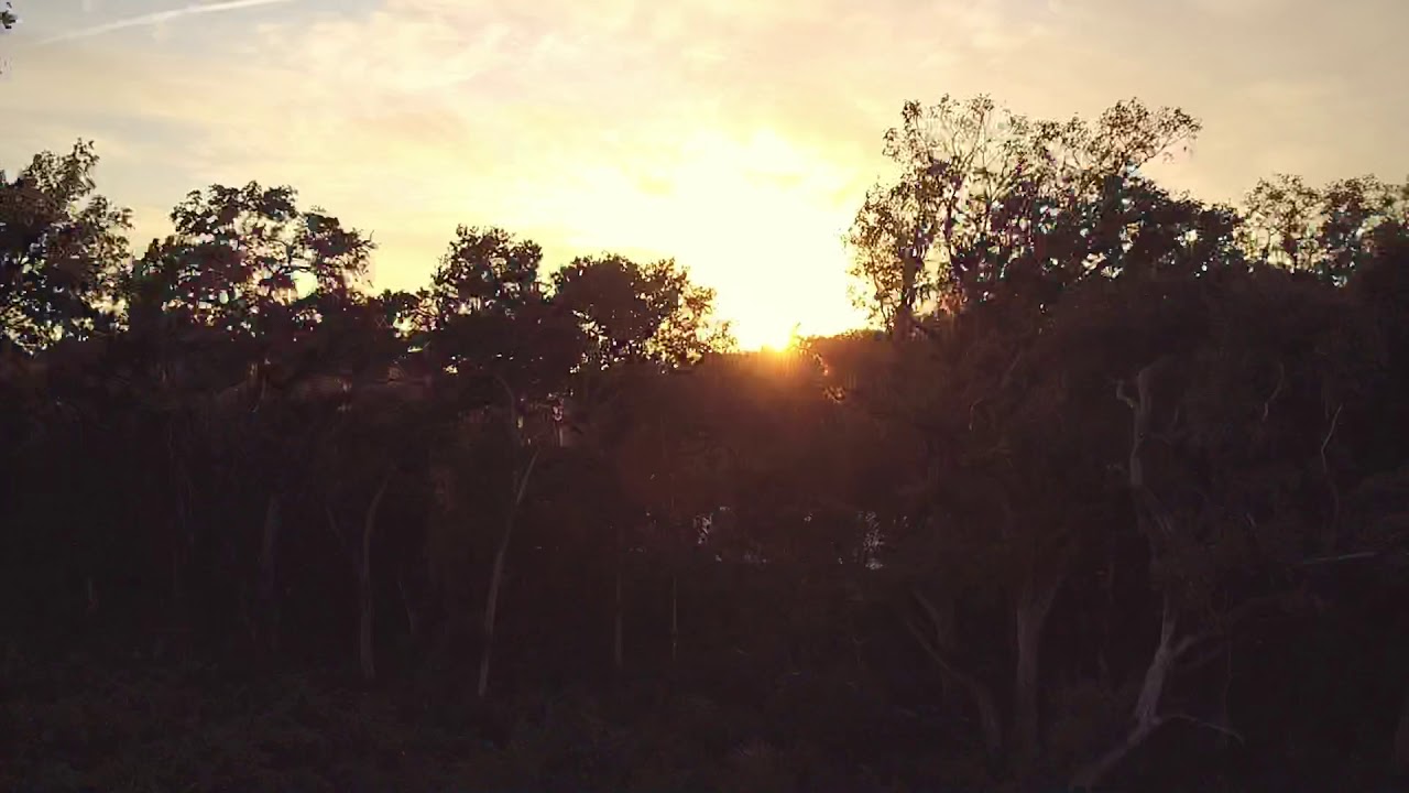 Summer 2020: PT 4 Promised Land State Park Pennsylvania