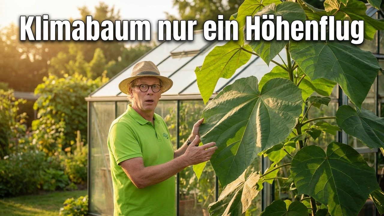 Unglaubliche Pflanzen mit XXL-Blättern entdeckt!