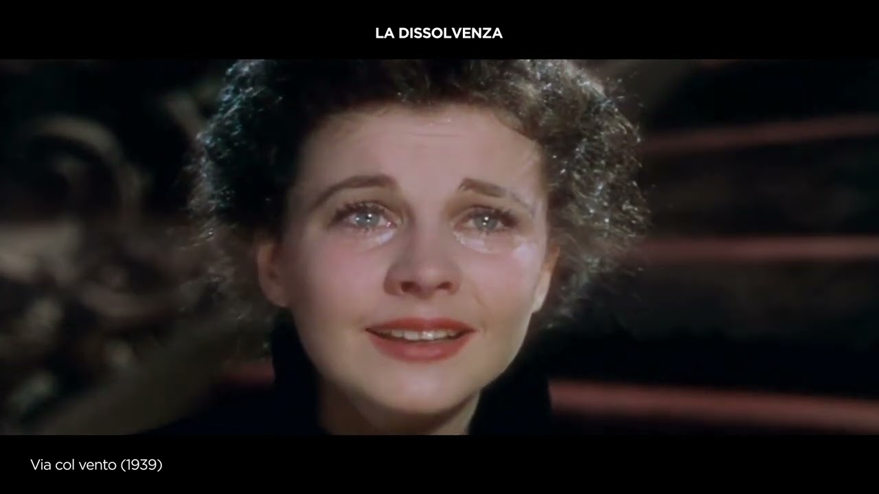 IL LINGUAGGIO CINEMATOGRAFICO