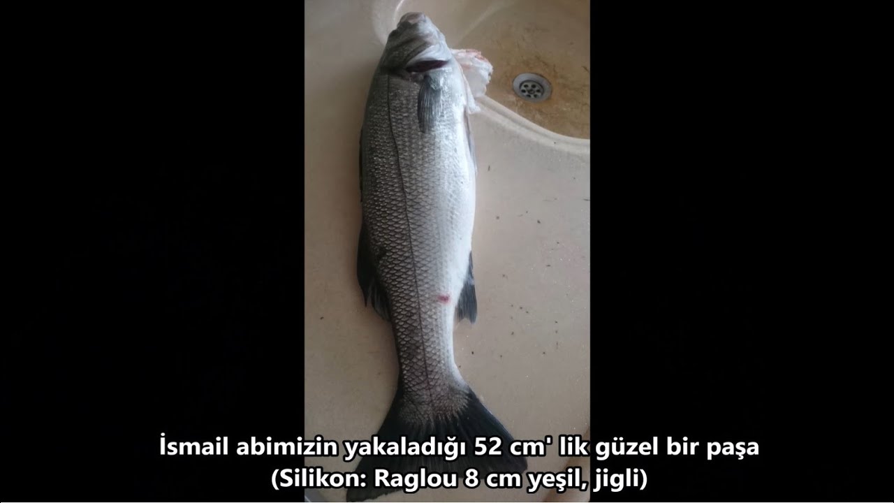 Trofe Levreklerin Hayır Diyemediği Silikon (Raglou 12 cm)