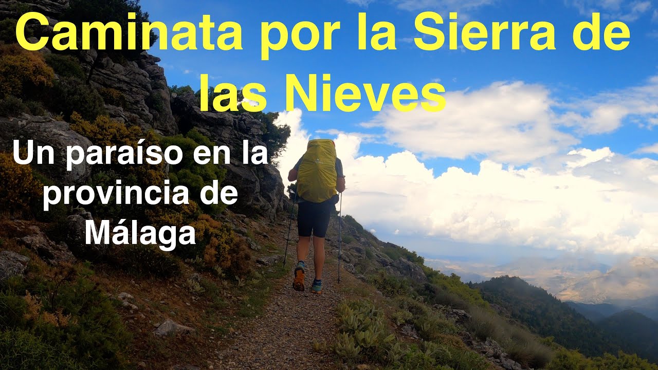 Caminata por la Sierra de las Nieves (Parque Nacional-provincia de Málaga) (Con prótesis de cadera)