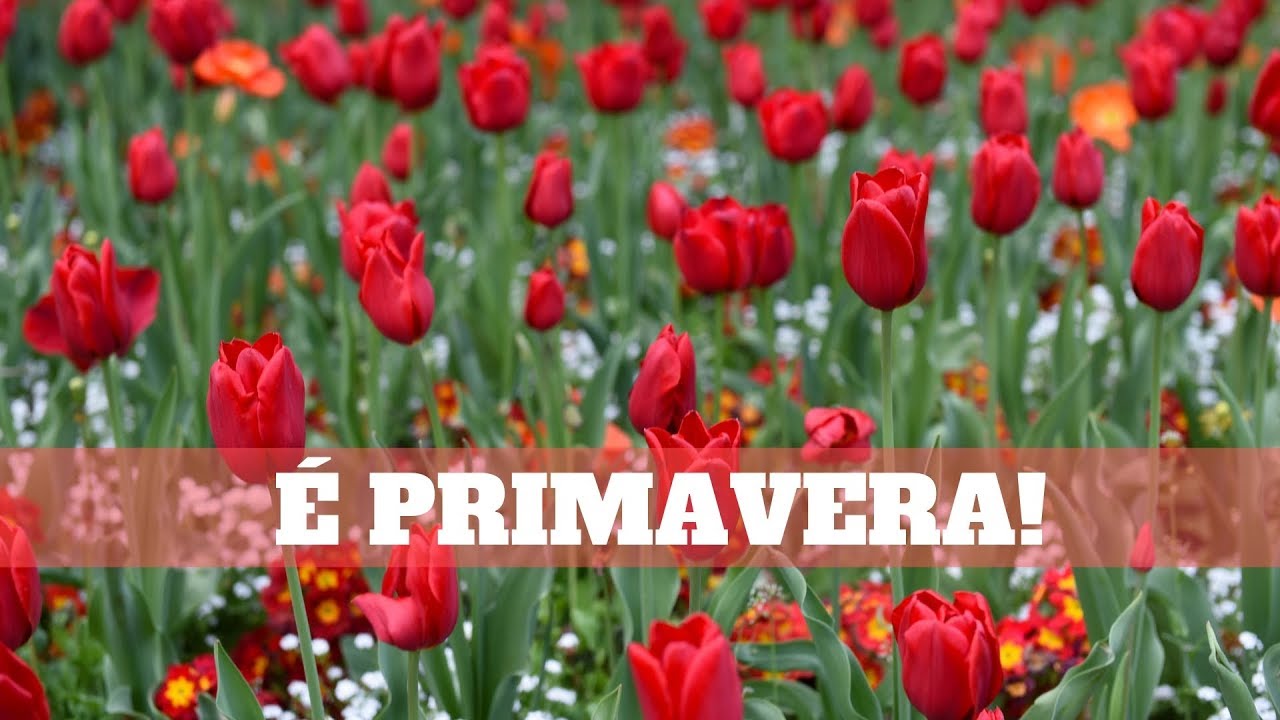 Primavera no Jardim Luxemburgo em Paris