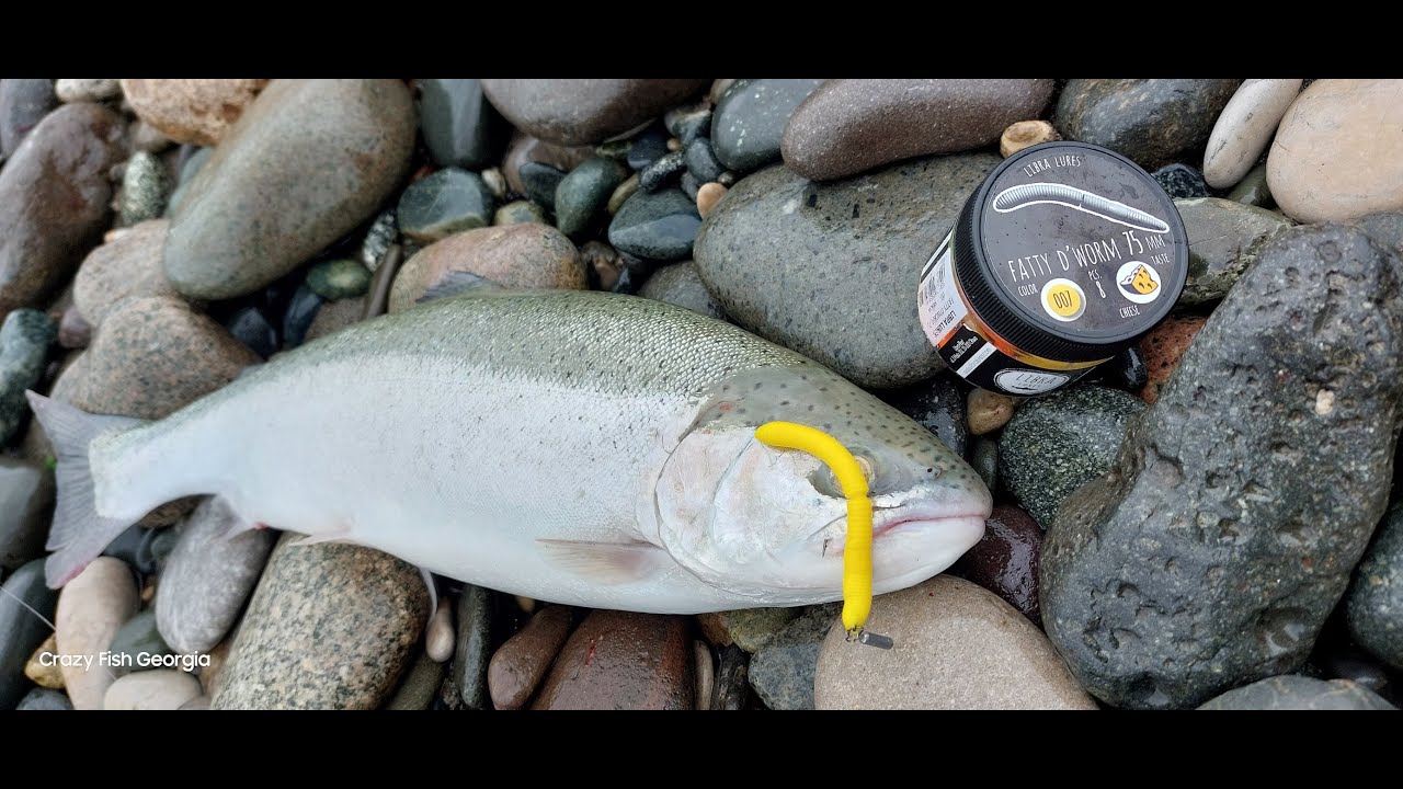 ორაგულის ჭერის თავისებურებები. LIBRA LURES.