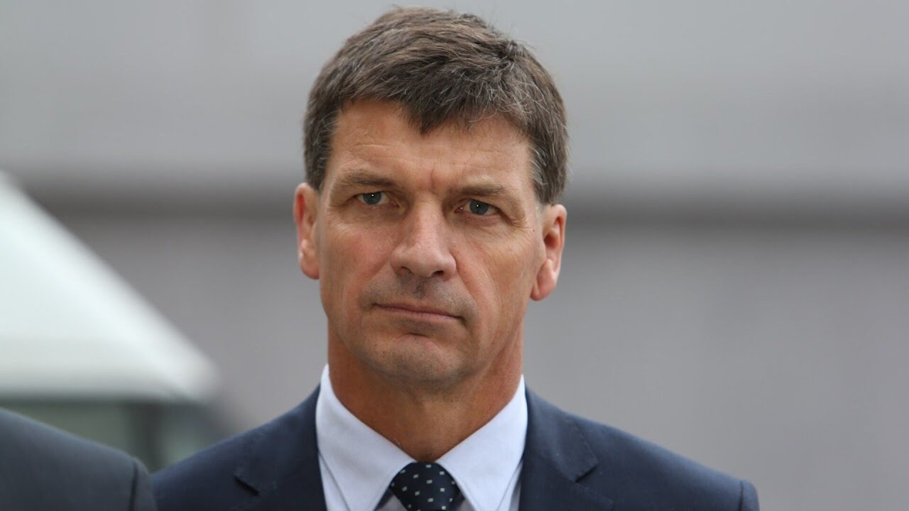 ‘Hold this hopeless government to account’: Wallace backs Angus Taylor’s leadership