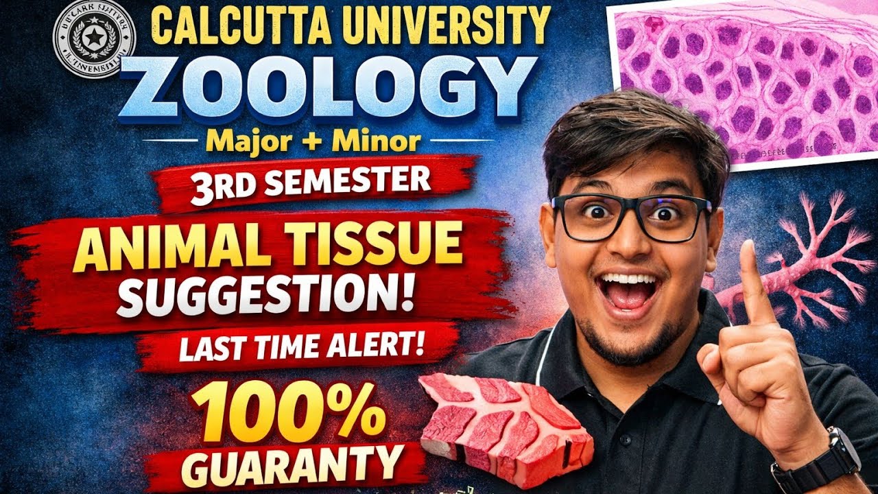 Calcutta University Zoology 3rd Semester | Animal Tissue Final Suggestion Alart 🚨 | Major + Minor