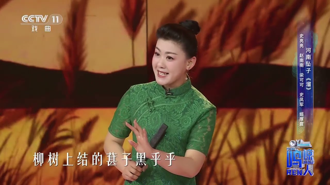 [一鸣惊人]河南坠子《溜》 表演：史亮亮 赵南南 等|中华戏韵
