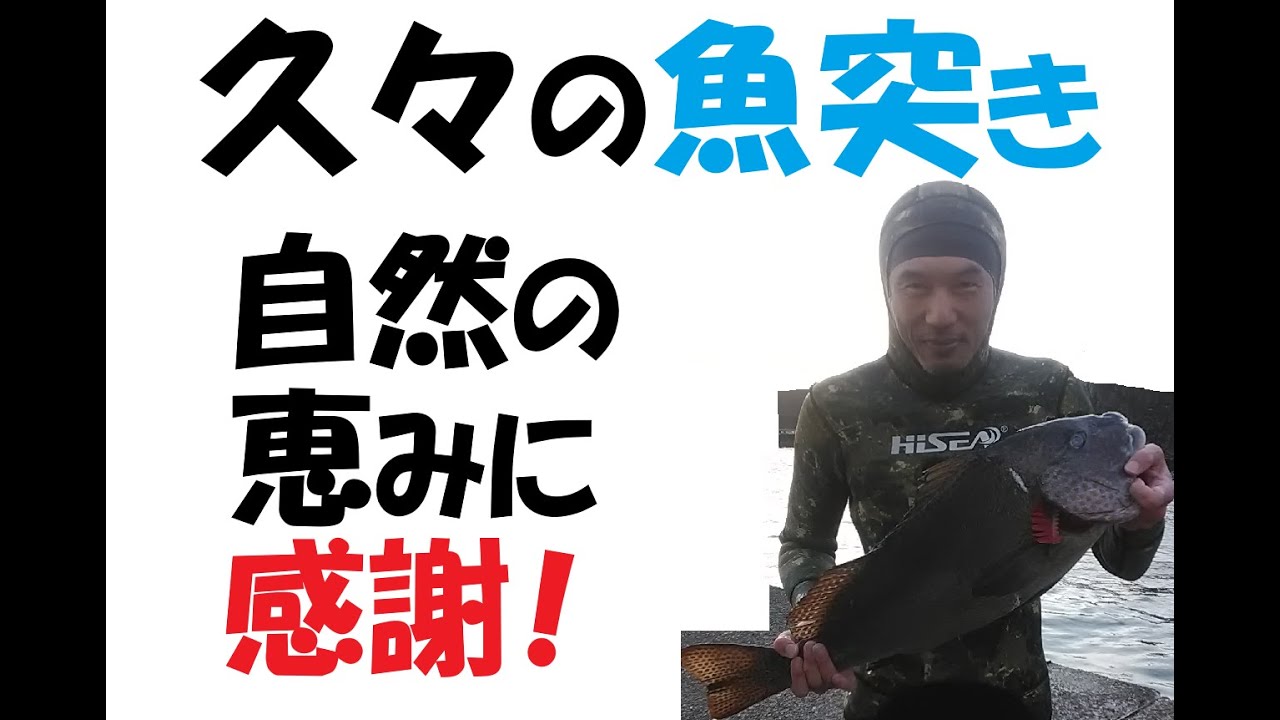 【息抜き＆自己満足】上々のコンディションで魚突き！【再生リスト】で気になる単元を確認してね！