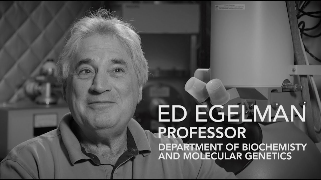 Powerful Microscope Solves Plant Virus Mystery – and Could Help Humans