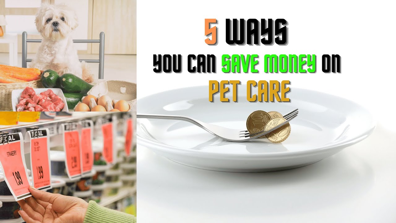 How to save money on pet care as the cost of living rises